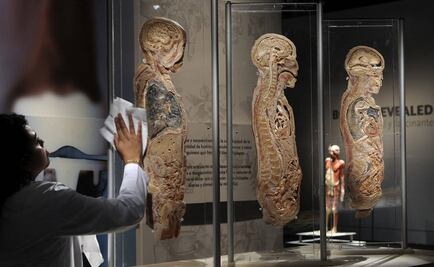 Plantean diseño industrial a la medida de los mexicanos 