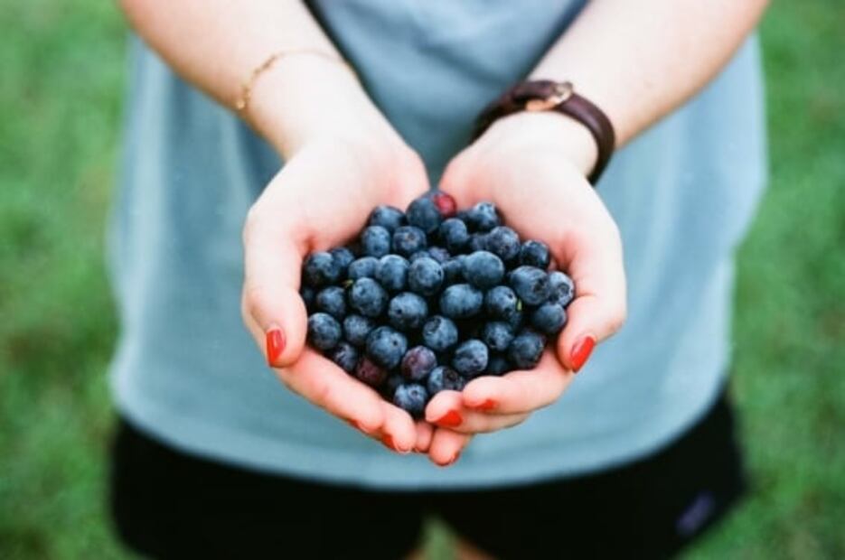 En Zacatlán, pasa unos días en esta finca que cultiva moras azules