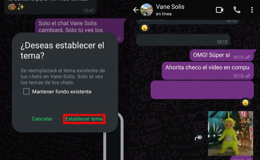 Personalizar WhatsApp. Imagen: captura de pantalla