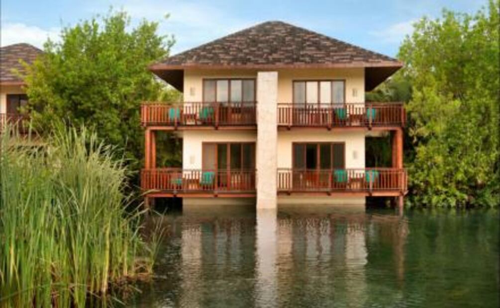 En Riviera Maya hay una abeja que no pica y su miel te rejuvenece