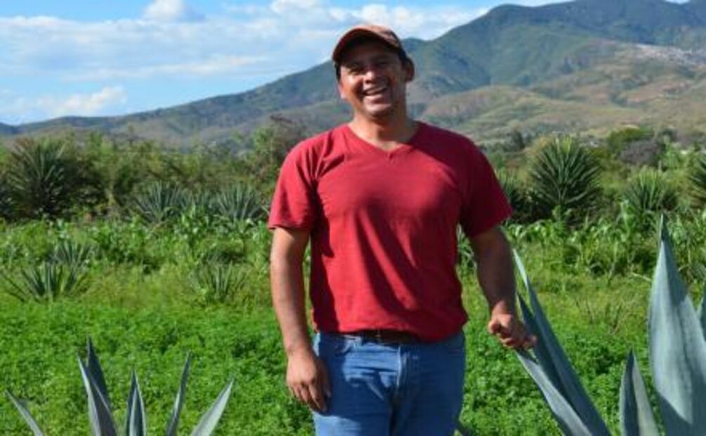 Así se elabora el mezcal de pechuga en Santa Catarina Minas