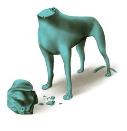 Sin freno, el maltrato animal en el Edomex. ¿Qué año tuvo más quejas? 