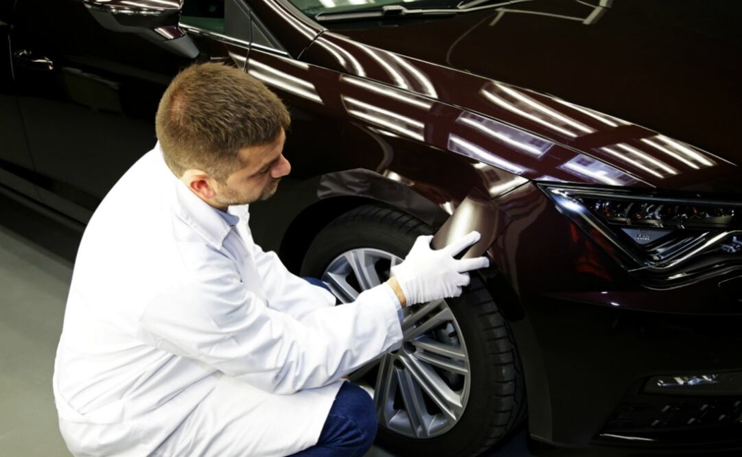 5 aspectos en los que se utiliza un microscopio electrónico para hacer un Seat