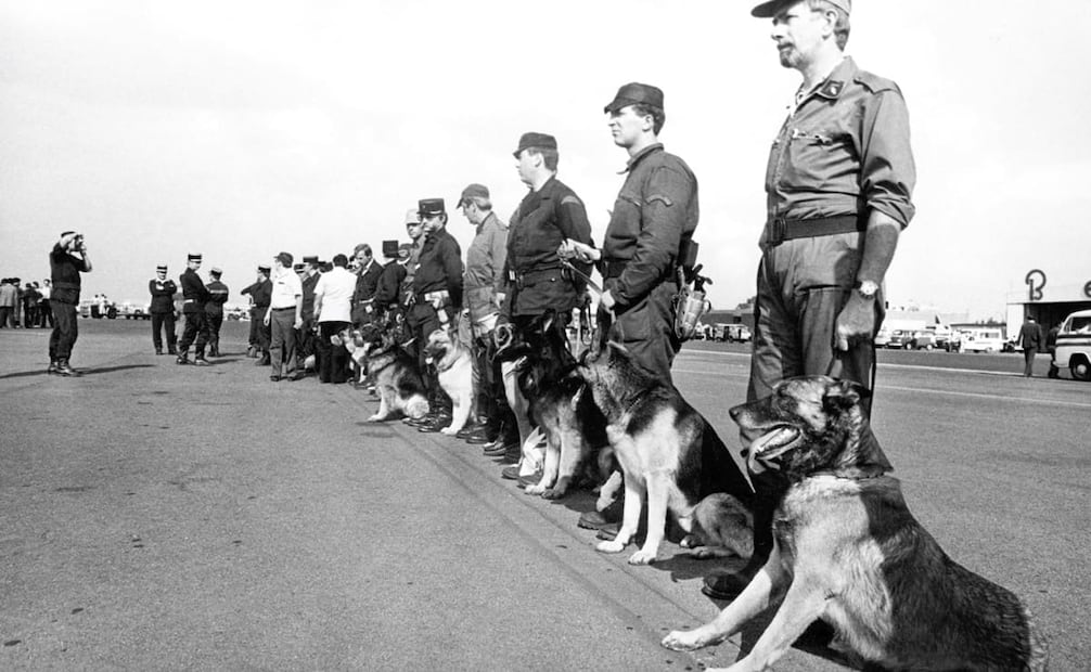 Enviados franceses con perros amaestrados, listos para auxiliar en las labores de rescate en la Ciudad de México, 1985. Foto: Archivo EL UNIVERSAL.