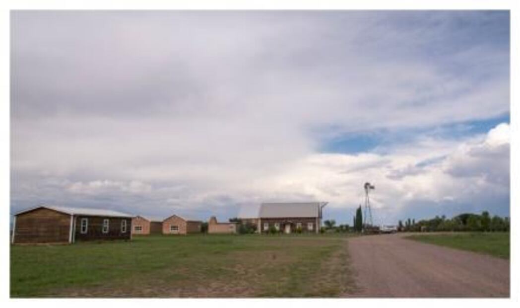 Lo que no sabías de los menonitas