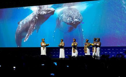 COP16 aprueba fondo mundial para distribuir beneficios del uso de recursos genéticos; recaudaría hasta mil mdd al año