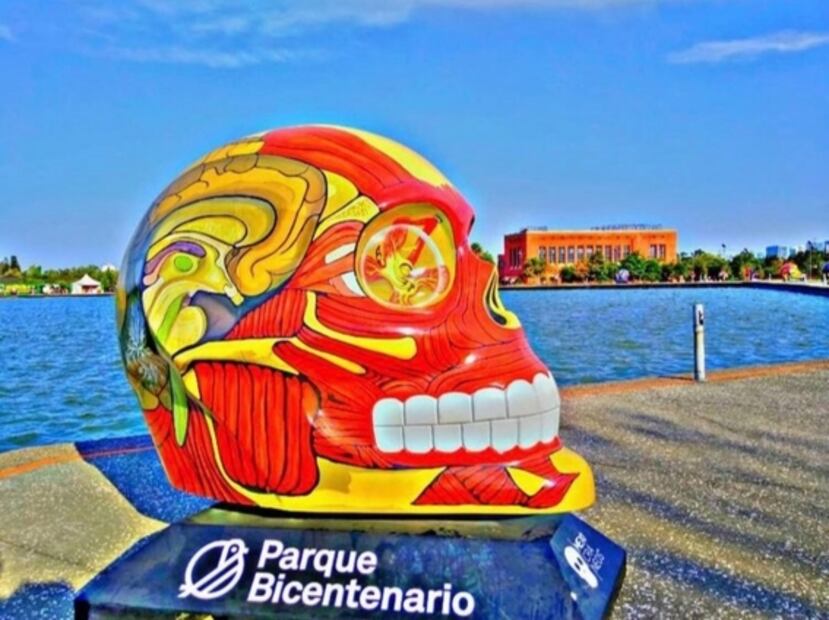 Cuándo y dónde puedes ver la exposición de Mexicráneos en CDMX