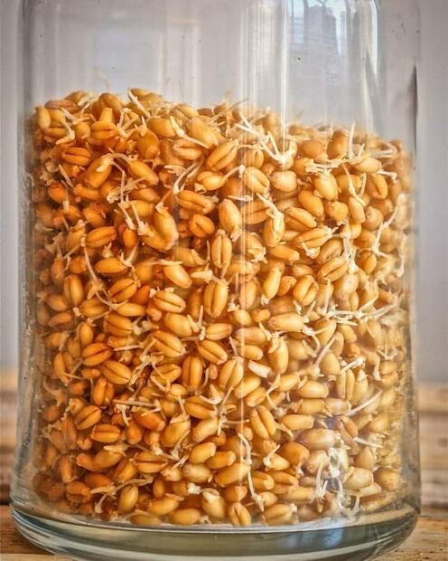 Cuida tu salud intestinal con esta bebida probiótica 