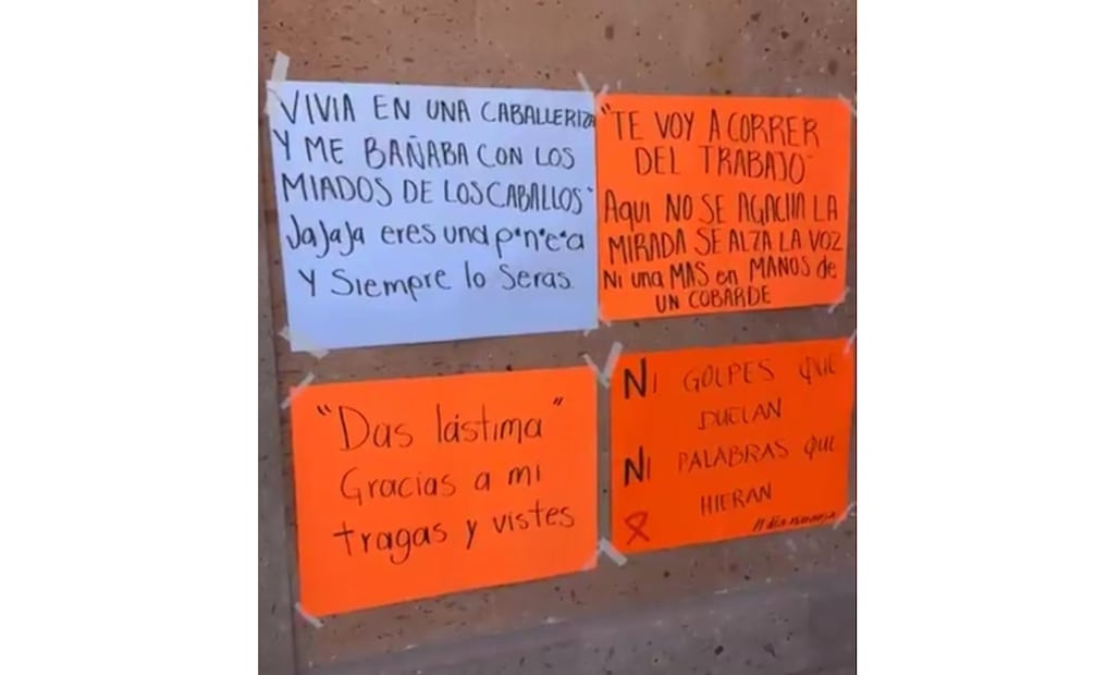 Presidenta del DIF municipal de Tetepango,  Hidalgo denuncia a su esposo por violencia familiar e intimidación.
Foto: Especial.