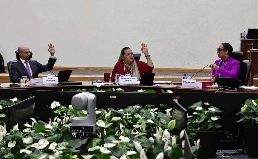 Sesión extraordinaria urgente con motivo de la elección del poder judicial. Foto: Berenice Fregoso/ EL UNIVERSAL