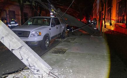 Caída de árbol deja sin luz a Santa María la Ribera; hombre recibe descarga eléctrica