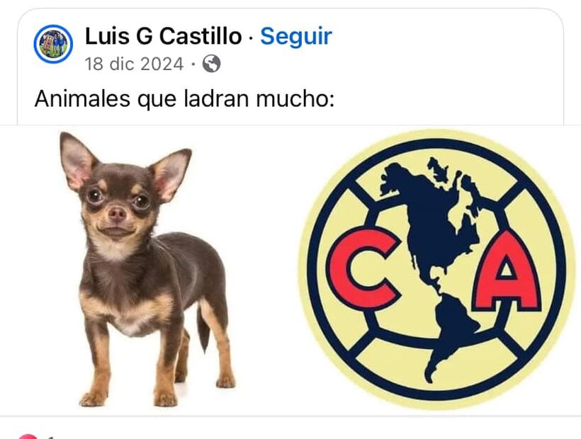 Los Memes del América tras perder contra Cruz Azul. FOTO: ESPECIAL