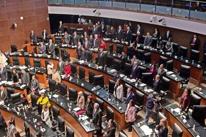 Para Julia Carabias la medalla Belisario Domínguez: Senado