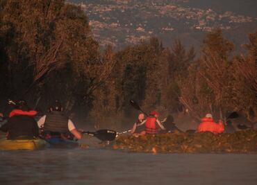 Explora los canales de Xochimilco a bordo de un kayak