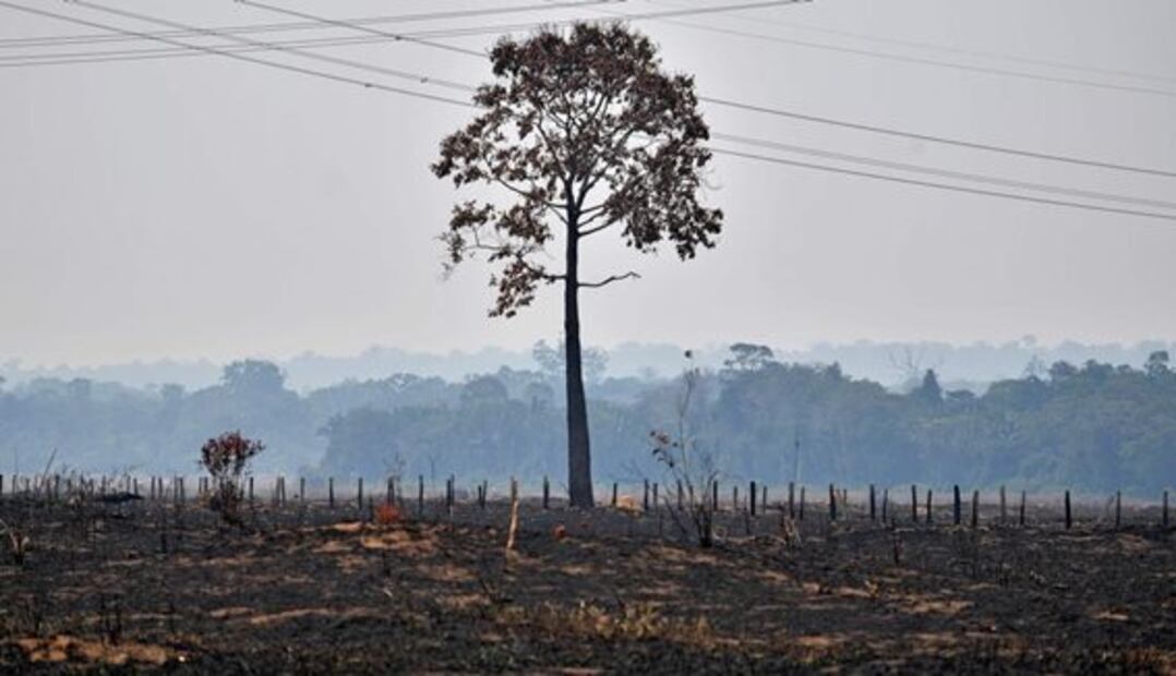 Las imágenes de los incendios registrados en la selva amazónica de Brasil