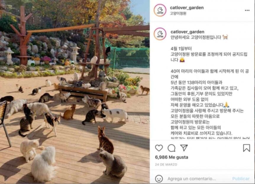 Lugares donde adoran a su Majestad el gato