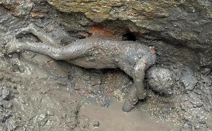 Rescatan 24 estatuas de bronce en el centro de Italia 