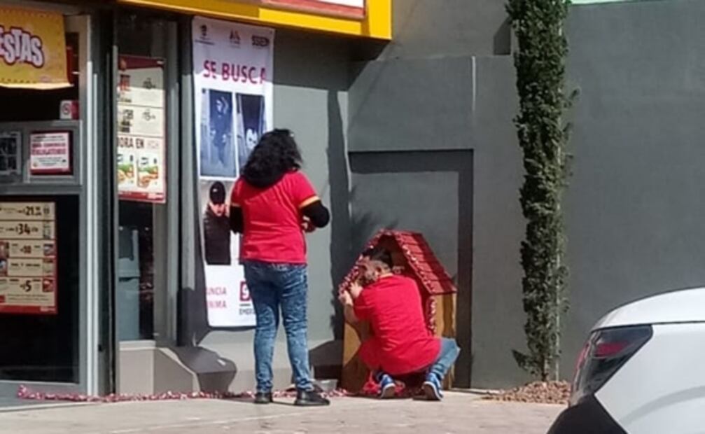 Empleados de una tienda en Toluca regalan casita a "Migajón", un perrito de la calle