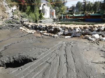 Servicios turísticos en Xochimilco operan con normalidad