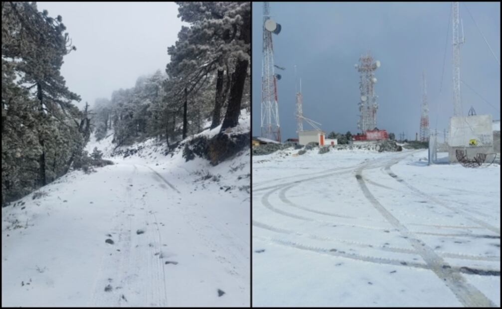Nieve "pinta" de blanco la zona montañosa del sur de Nuevo León