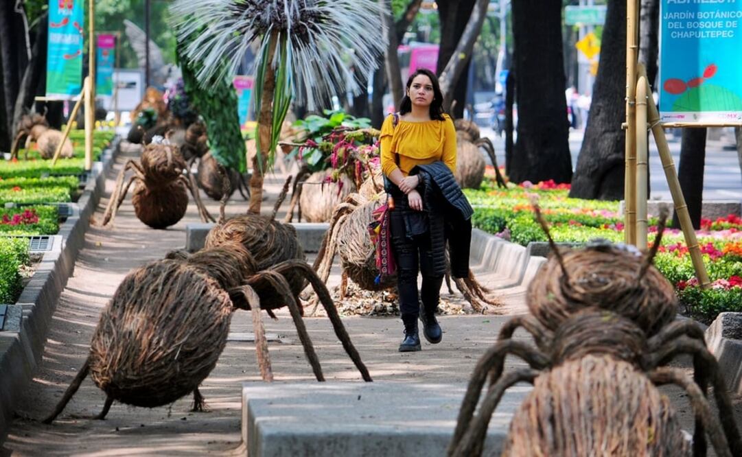 Foto: Diego Simón Sánchez /CUARTOSCURO.COM