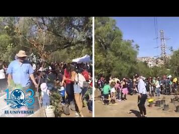 Tras incendios, acuden a reforestar Cerro de Moctezuma