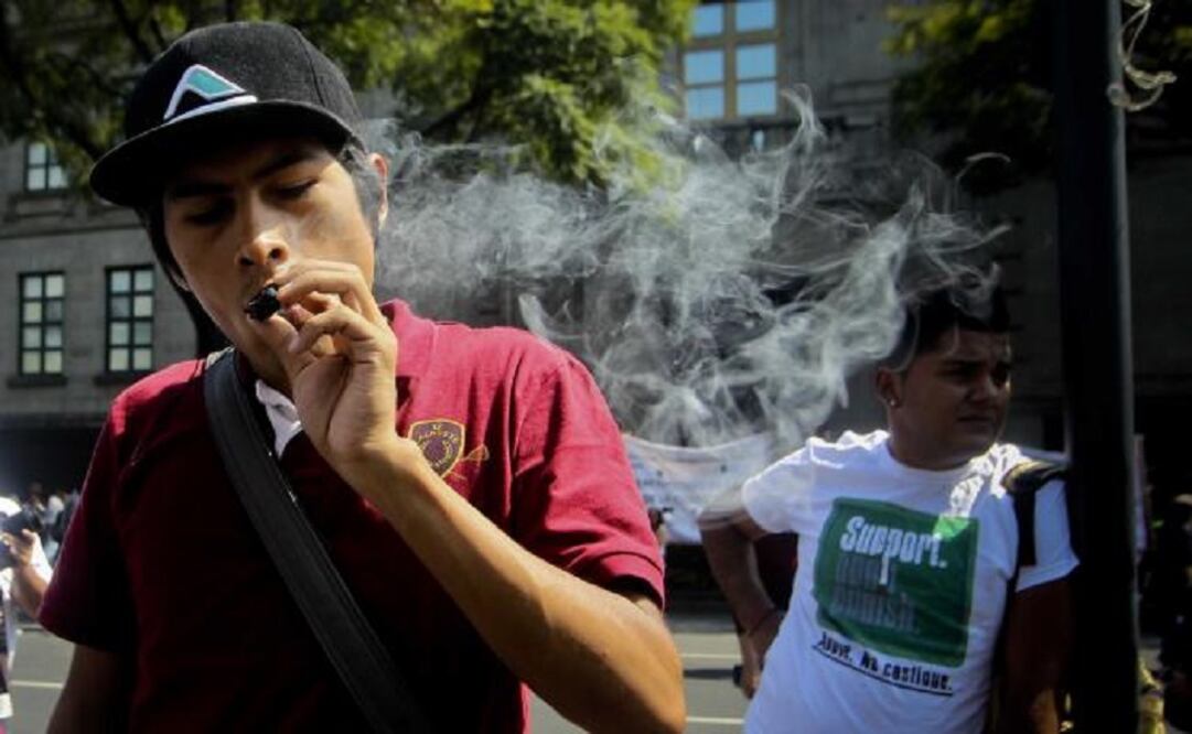 33% of the participants said that legalizing marijuana would reduce corruption and violence caused by drug trafficking in Mexico. (Photo: Archive/El Universal)