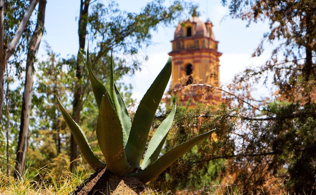 El Cerro de los Magueyes de Metepec encierra diversas leyendas que los habitantes aún mantienen vivas. Foto: Pixabay