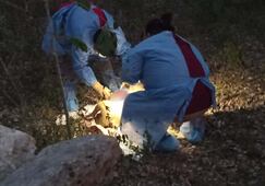Denuncian nuevo caso de crueldad animal en Yucatán; asesinan al perrito "Niño"