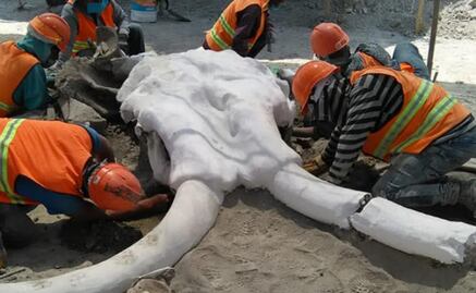 Mexican archeologists discover trove of mammoth remains in Santa Lucía