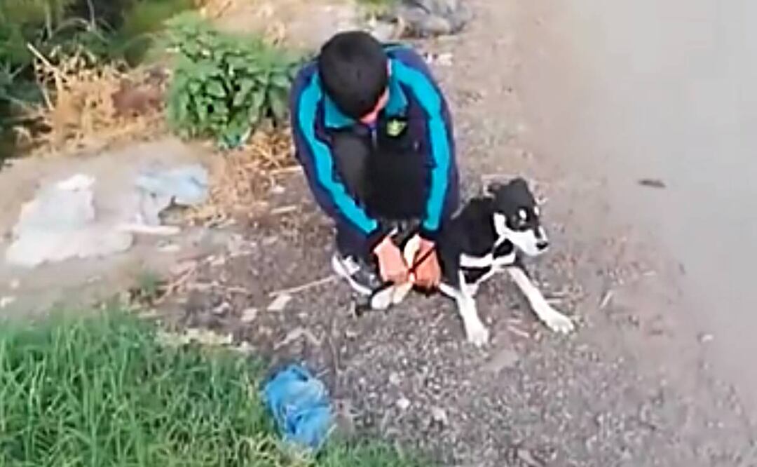 Foto: Captura de pantalla/ El Universal]/El sujeto había atado al perro de sus patas para que se ahogara