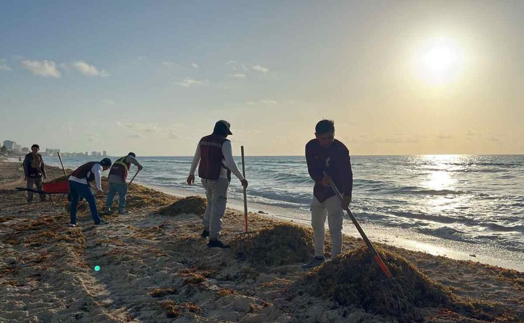 Limpieza de sargazo en Cancún / Foto: Especial