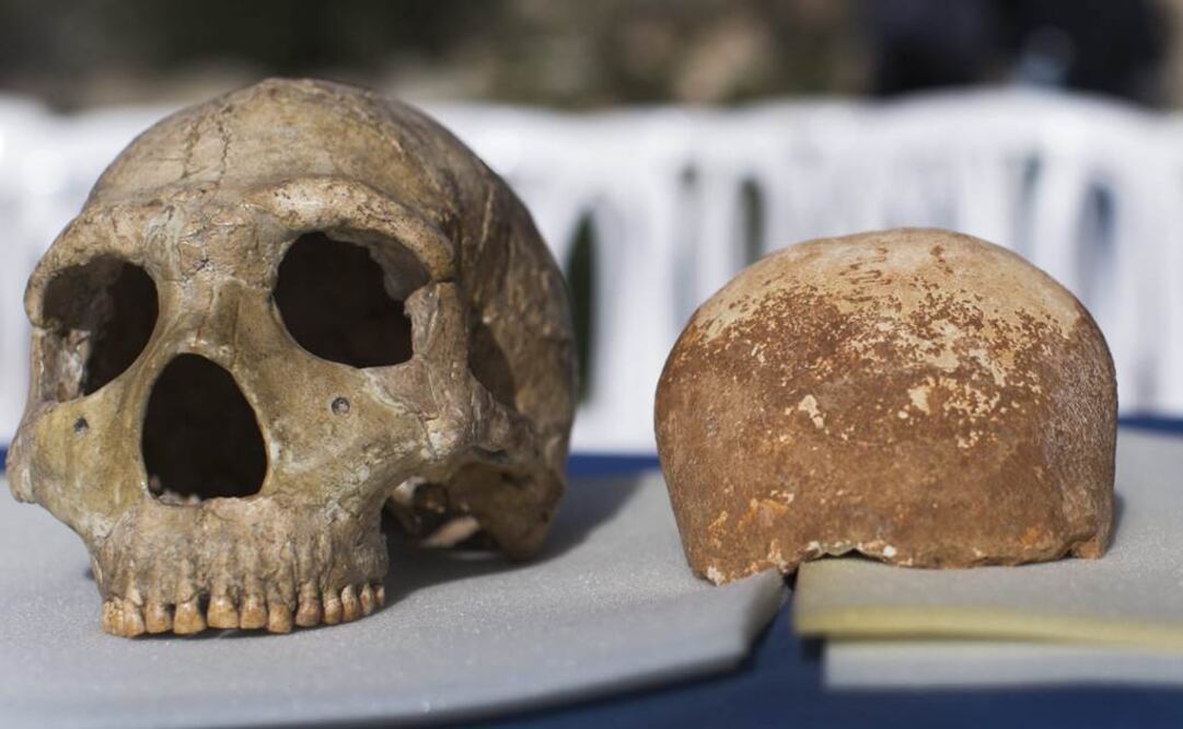 El cromosoma Y es uno de los dos cromosomas sexuales humanos. Foto: Archivo