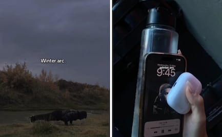 ¿Qué es el ‘Winter Arc’ y por qué se ha vuelto el nuevo reto viral de TikTok?