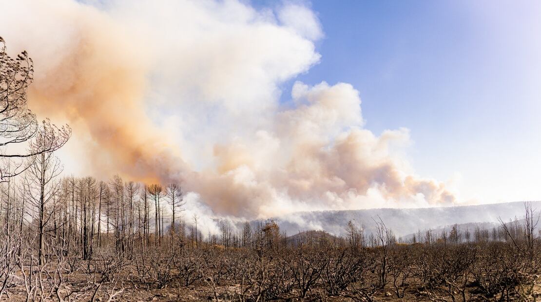 Un total de 443 brigadistas de instancias federales, estatales y municipales combaten los incendios. (Foto: especial)