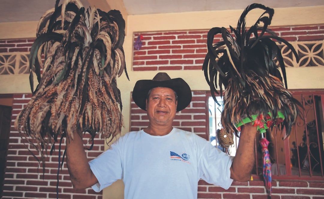 Se llevan dos días para tejer un penacho, dedicando todo el día, y se ocupa el plumaje de al menos tres o cuatro gallos capón o de pelea. Fotos: de Edwin Hernández