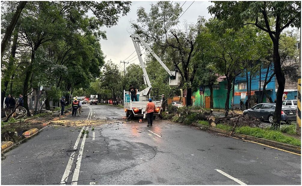 Caída de árboles e inundaciones ocasionadas por las lluvias en la CDMX. Foto: Especial