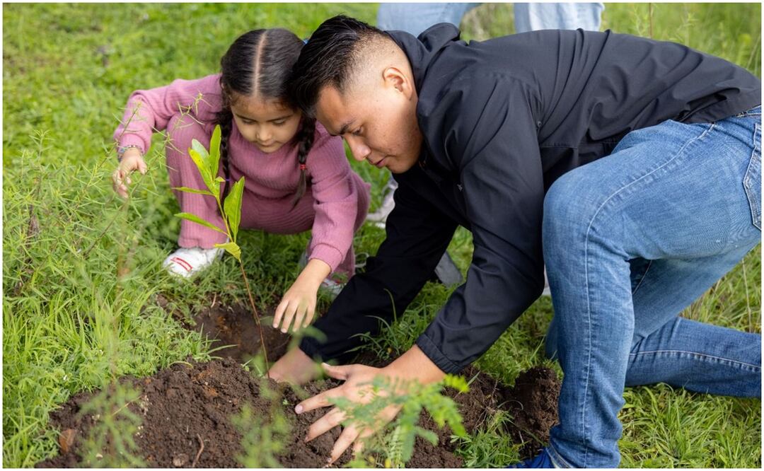 A la reforestación masiva en la Sierra de Guadalupe se sumaron infancias, empresarios, asociaciones ambientalistas, estudiantes, boy scouts y autoridades estatales. Foto: Especial