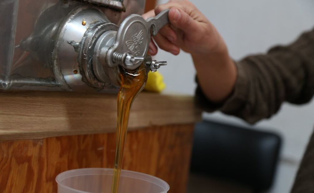Miel de Jalisco. Foto: cortesía