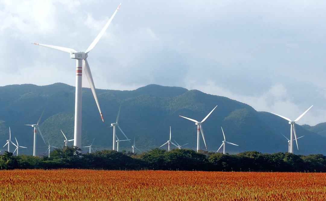 According to Bloomberg BNEF, in Mexico there has been a "successful implementation of clean energy auctions" - Photo: Carlos Salinas Enriquez/CUARTOSCURO.COM