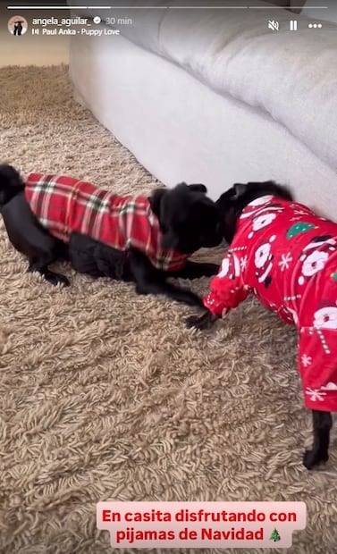 La cantante Ángela Aguilar comparte momentos desde la intimidad de su hogar.