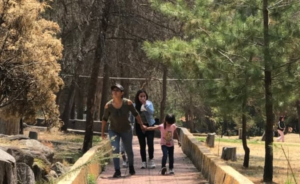 Anuncian plan de rescate para Parque de Los Ciervos en Atizapán