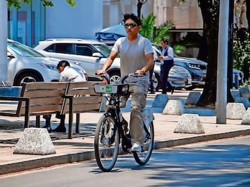 Ecobici moviliza igual de usuarios que L4 del Metro