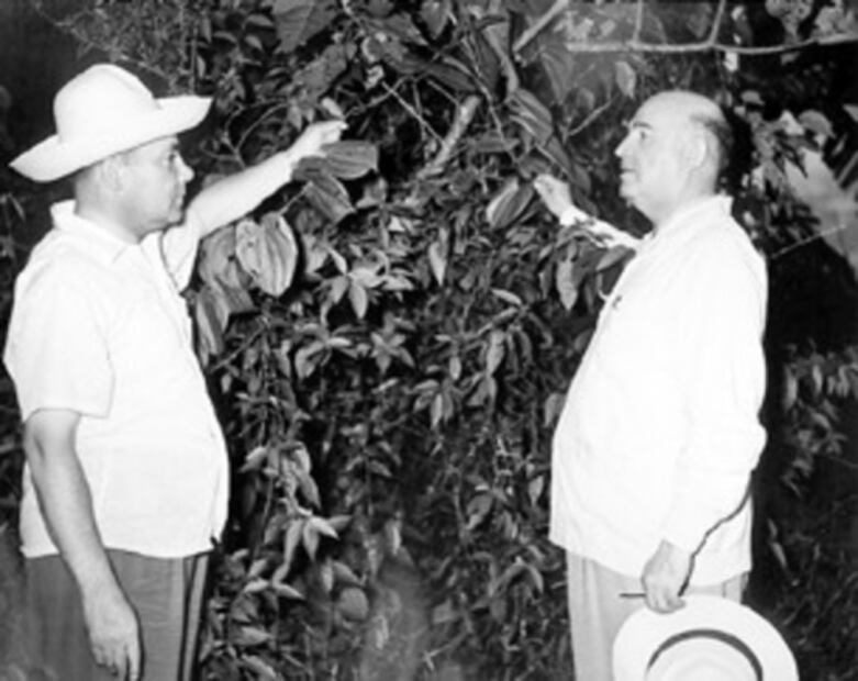 Aborto: orígenes prehispánicos