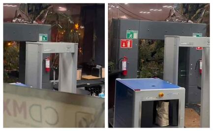 VIDEO: Cae árbol de 8 metros sobre edificio sede de la Secretaría de Seguridad capitalina; no hay lesionados