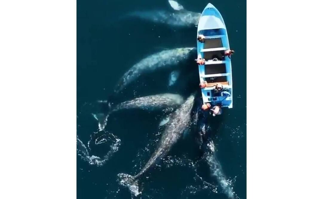 Foto: Captura de video