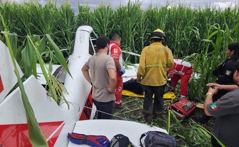 Una avioneta fumigadora de color blanco, con franjas rojas, se desplomó presuntamente por una falla mecánica en un campo agrícola en Culiacán. Foto: Cortesía.