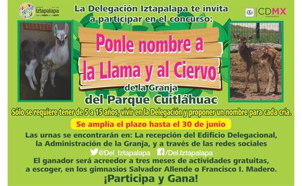 Iztapalapa convoca a concurso para nombrar a animales de granja