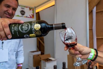 Lánzate al Festival Internacional del Vino en San Luis Potosí