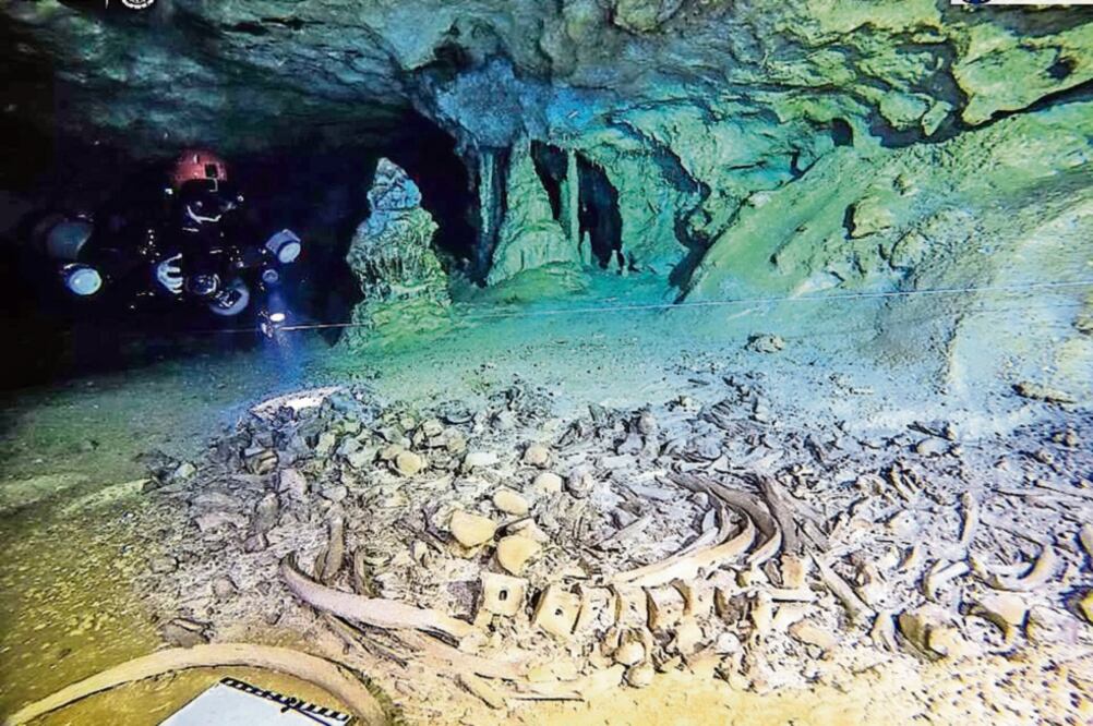 Sac Actun es un laberinto de cuevas de 347 kilómetros. Ahí los arqueólogos han encontrado restos de megafauna extinta, como perezosos gigantes. (PROYECTO GRAN ACUÍFERO MAYA/ INAH)